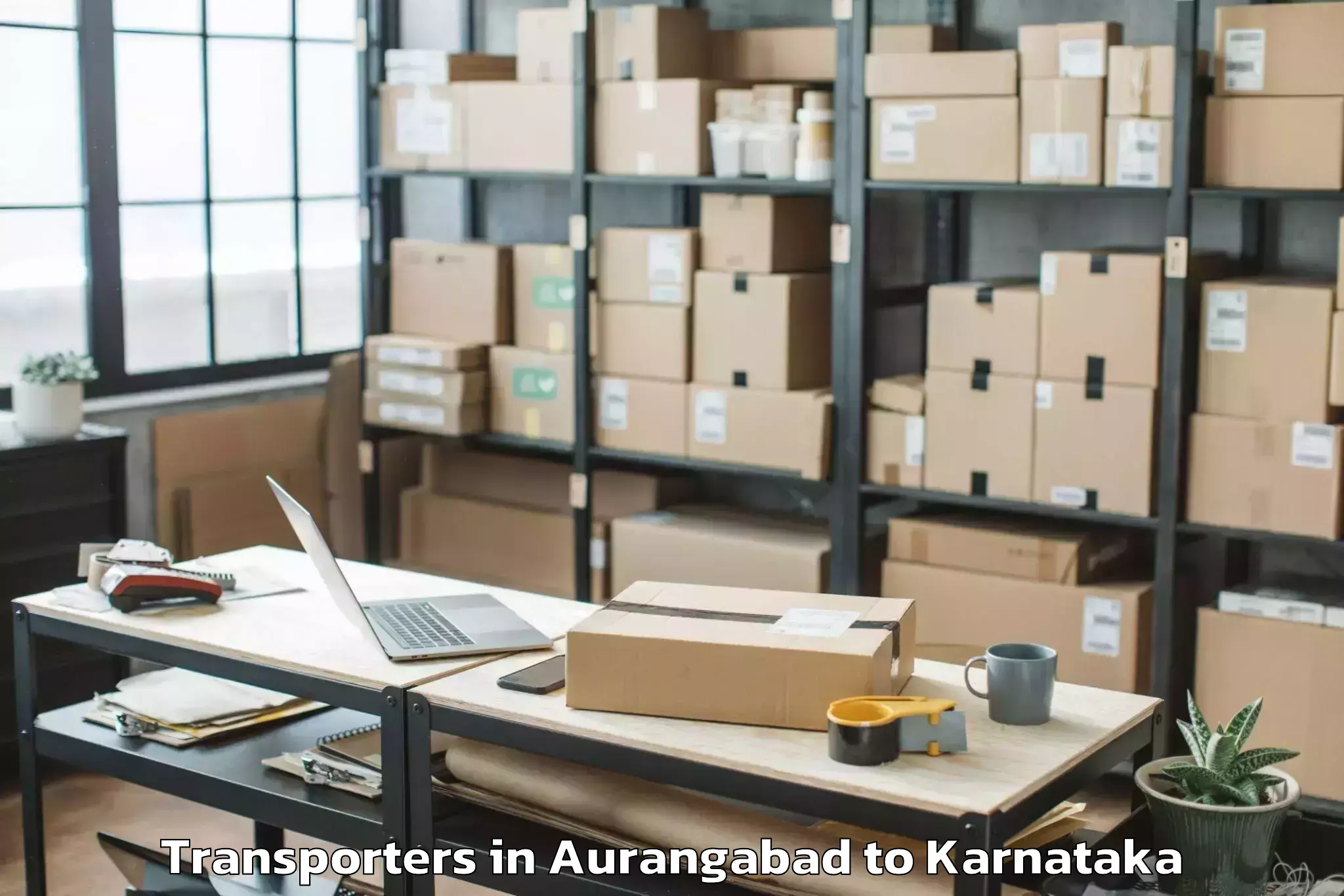 Professional Aurangabad to Kunigal Transporters